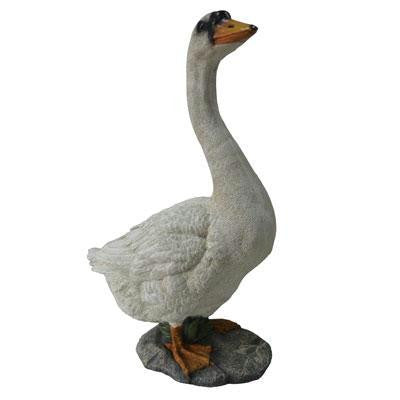 Standing Swan