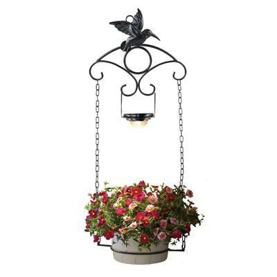 Mr Hummingbird Plant Hangr Blk