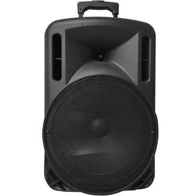 12" Professional Bluetooth Speaker