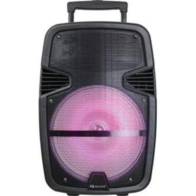 12" Portable Bluetooth DJ Speaker