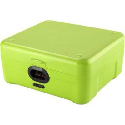 Ibox Biometric Storage Green