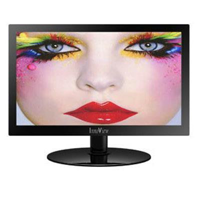 19" LED LCD Widescreen Monitor