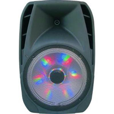 15" Portable DJ Speaker