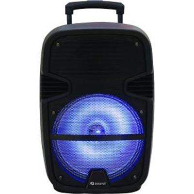 15" Portable Bluetooth DJ Speaker