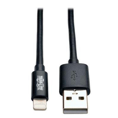 Lightning To USB 10' Black