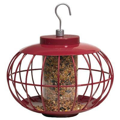 The Nuttery Seed Feeder Classi