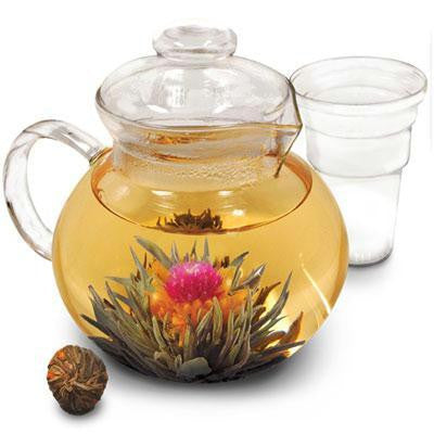 Primula Glass Teapot W&#47;infuser